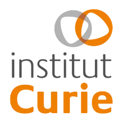 Institut Curie